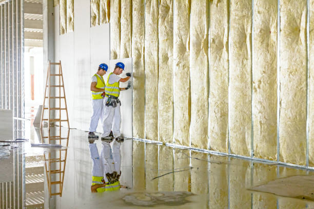 Best Specialized Insulation Services in Seneca, KS